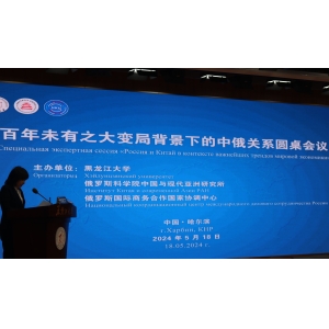 中俄关系圆桌会议